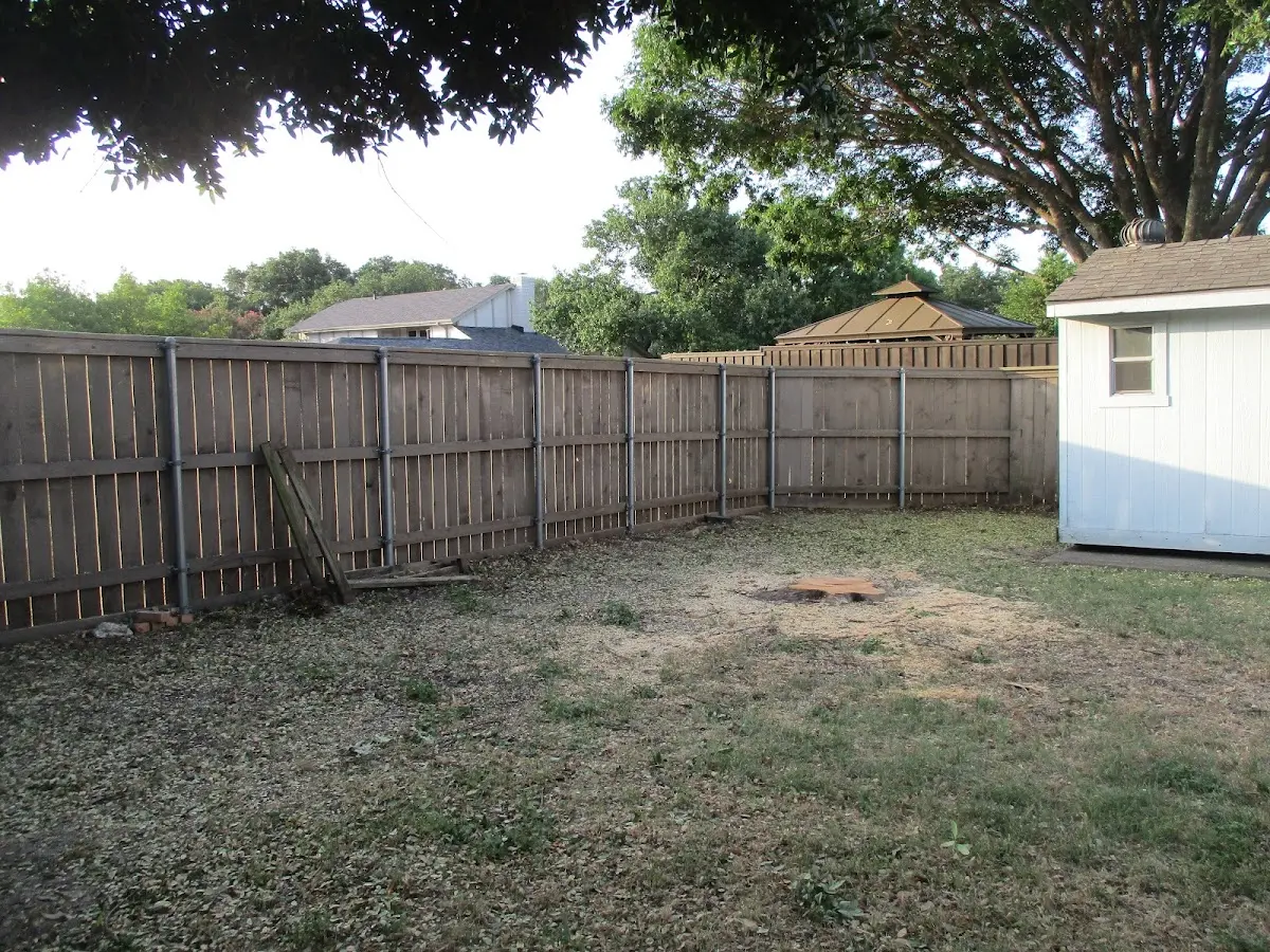 Cleared yard after professional tree removal in Rickreall